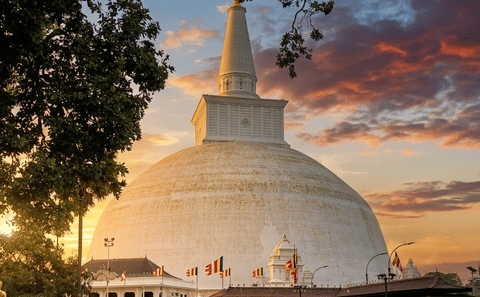 Cultural and Mindful Wellness Tour in Sri Lanka