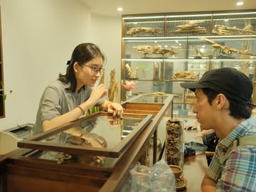 Agarwood Production Workshop Tour with Vegan Lunch in Hanoi