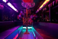 St. Maarten Private VIP Party Bus Rental up to 25 Guests 6