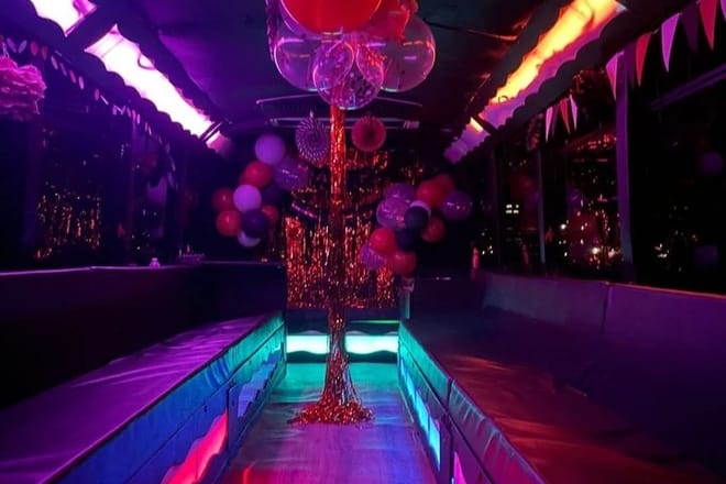St. Maarten Private VIP Party Bus Rental up to 25 Guests photo 6