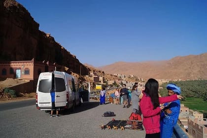 Hire a car with driver and licensed guide