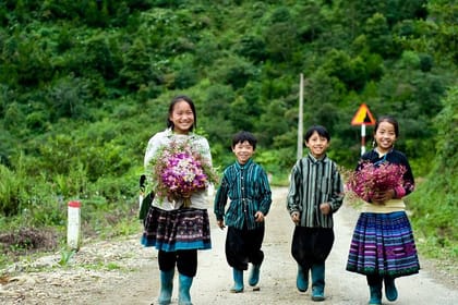 Sapa Villages And Homestay Hard Trekking 2days, 1night trip, meals, Tour guide,