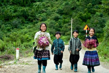 Two-Day Hard Trekking and Homestay Tour in Sapa, Vietnam