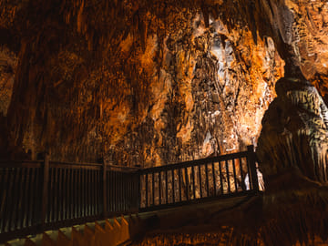 Mantle Cave Adventure in Tingo María, Peru