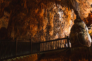 Tin-04 : Mantle Cave Adventure - Exploring Nature's Secrets