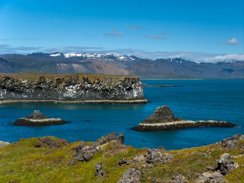 Snæfellsnes Peninsula Tour, photo 3