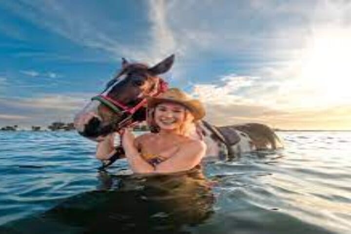 3-Hour Swim with Horses Experience in Hurghada