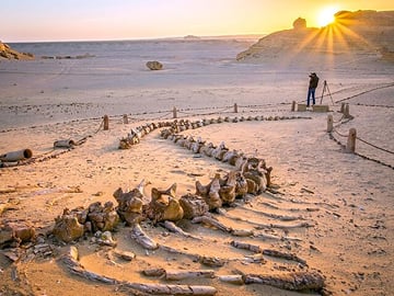 Private Tour Fayoum Oasis & WATERFALLS & Sandboarding with LUNCH
