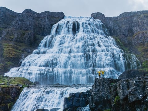 Dynjandi Waterfall & Iceland’s Oldest Bookstore - Westfjords Cruise Tour