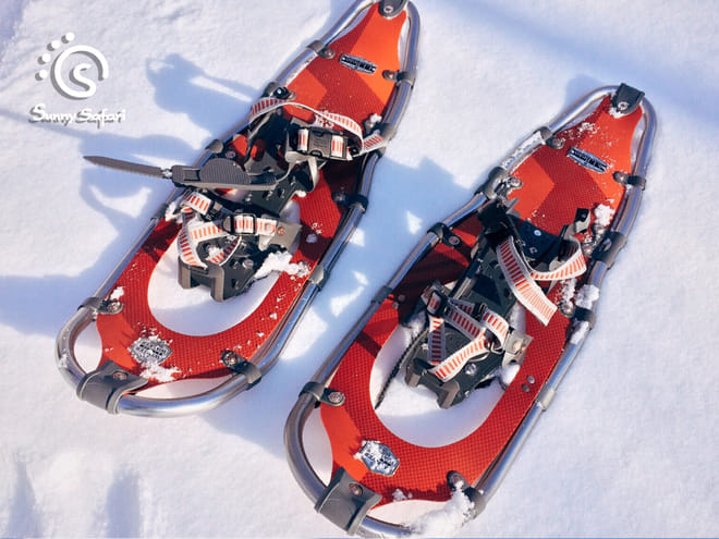 Snowshoeing in Lapland Wilderness  2