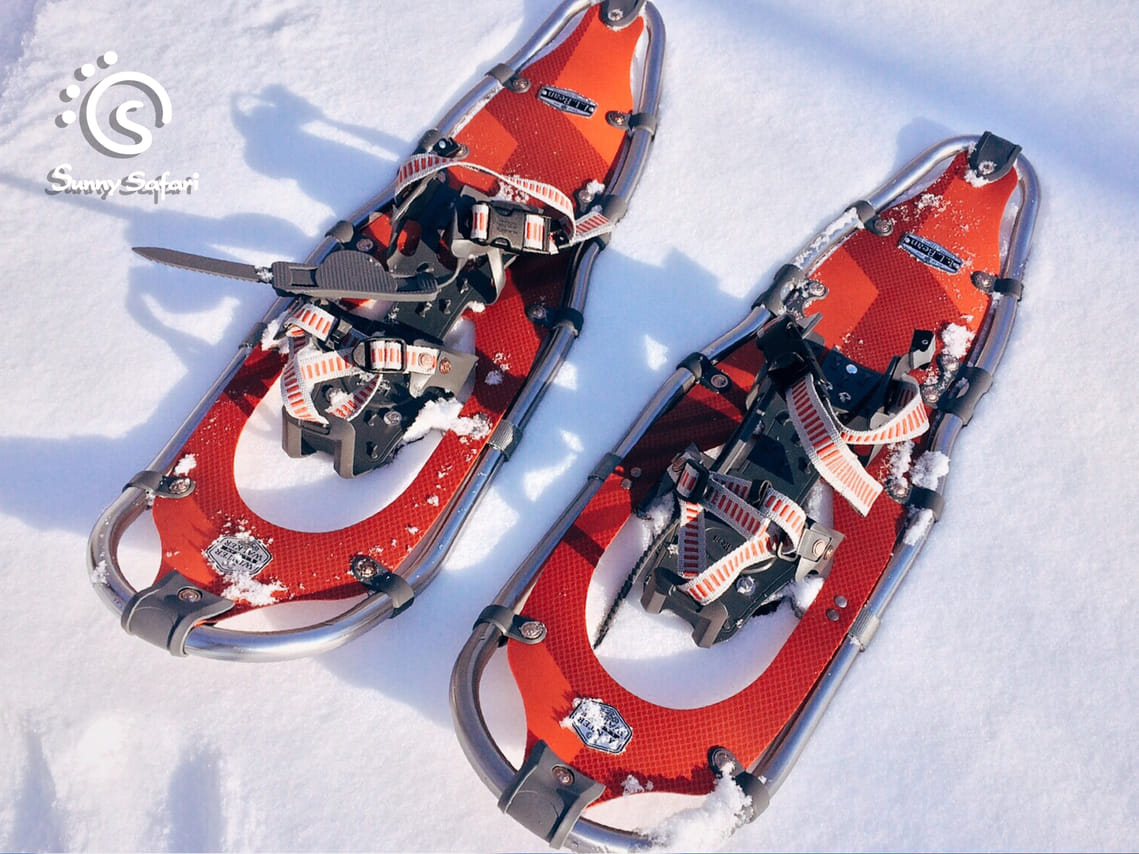 Snowshoeing in Lapland Wilderness  2