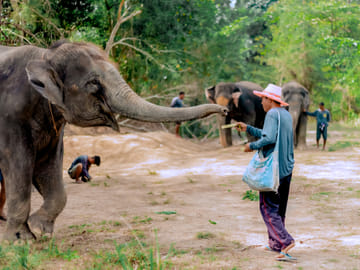 Phuket: Ethical Elephant Sanctuary Experience