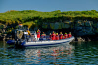 Premium Puffin Tour 1
