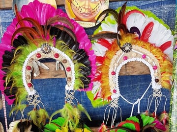 Indian Village and Meeting of the Waters Tour in Manaus
