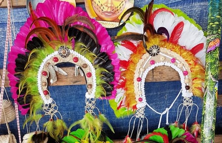 Indian Village and Meeting of the Waters Tour in Manaus