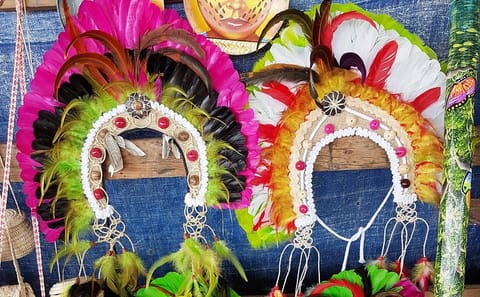 Indian Village and Meeting of the Waters Tour in Manaus