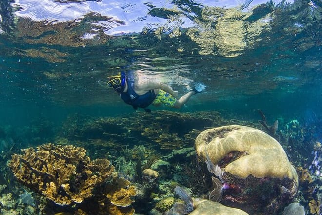 Half Day Guided Snorkeling Adventure in Puerto Morelos 10