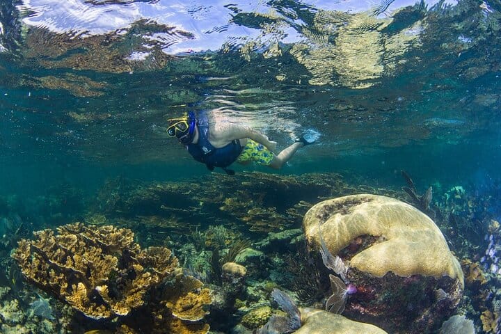 Half Day Guided Snorkeling Adventure in Puerto Morelos 10