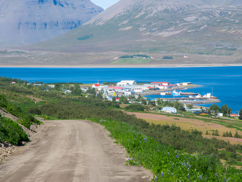 Private tour from Isafjordur Port: Dynjandi Waterfall & Westfjords Panorama, photo 5