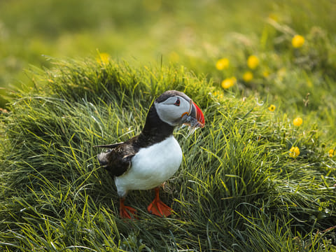 South Coast | Private Tour | Photo Package included, photo 5