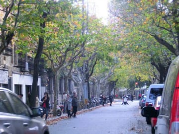 3-Hour Former French Concession Walking Discovery Tour