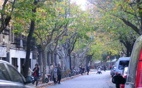 Walking Tour of Shanghai's Former French Concession