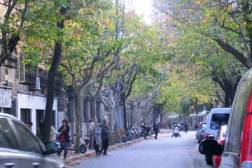 Walking Tour of Shanghai's Former French Concession