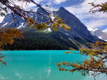 Day Tour of Lake Louise, Moraine Lake, and Peyto Lake from Calgary