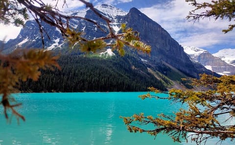 Day Tour of Lake Louise, Moraine Lake, and Peyto Lake from Calgary