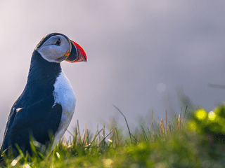 Private South Coast Adventure and Magical Viking Stories & Dinner, photo 11