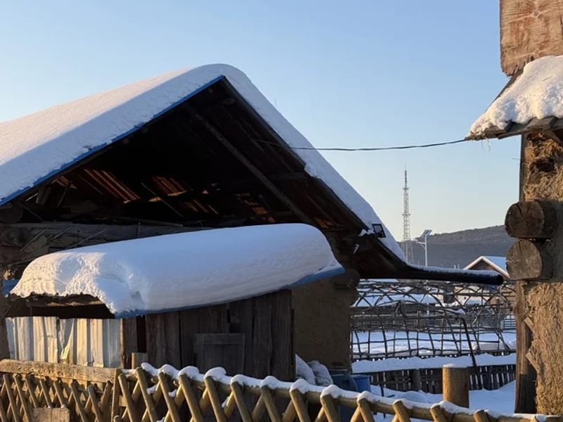4-Day Mohe Northern Lights and Arctic Village Tour