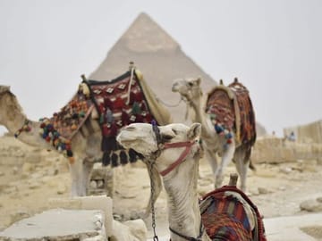 Cairo & Giza Day Trip from Hurghada (Small Group) – Pyramids, Sphinx & Egyptian Museum