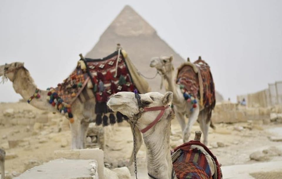 Cairo and Giza Day Trip from Hurghada with Egyptologist Guide