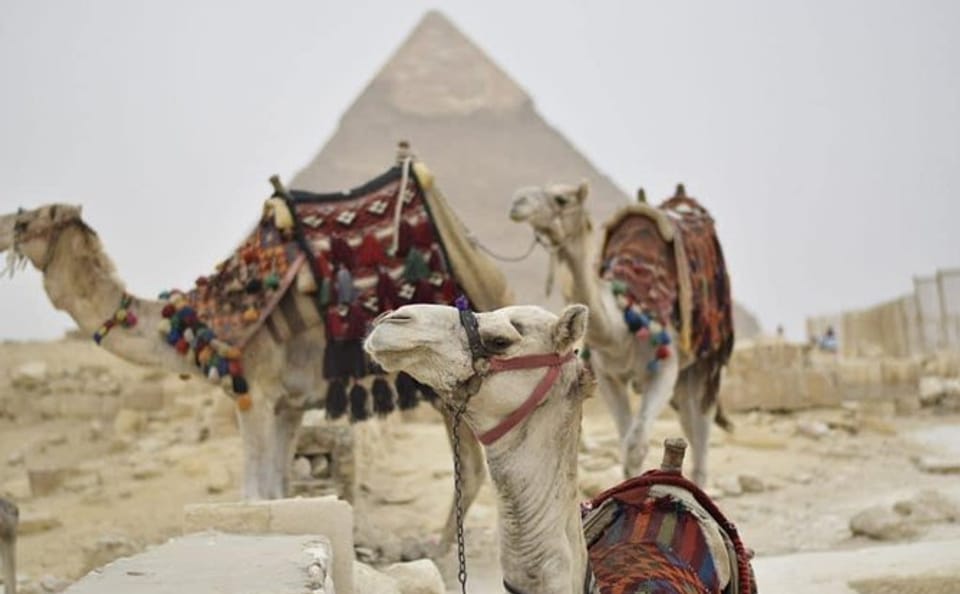 Cairo and Giza Day Trip from Hurghada with Egyptologist Guide