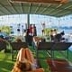 Deluxe Halong Bay Day Tour with Limousine, Island, Beach and Cave