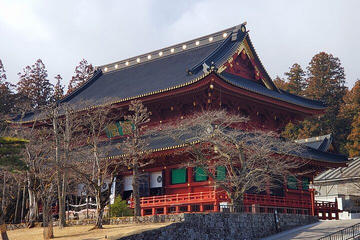 Full Day Private Nature Tour in Nikko Japan with English Guide