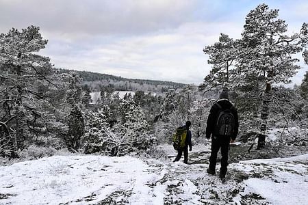 Nature Hiking Adventure in the Beautiful Stockholm Forest