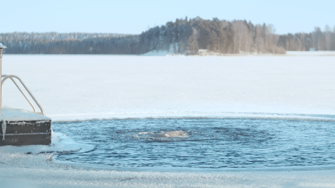 Morning Heat 2h - Sauna & Brunch at Suma Sauna & Lounge, Rovaniemi, Finland