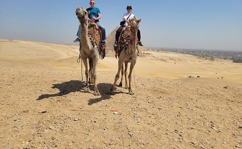 Private 4x4 Desert Safari and Camel Ride Tour from Cairo