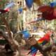 Bird Park
