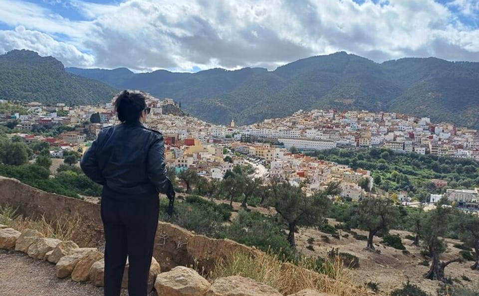 Day Trip from Fez to Meknes, Volubilis, and Moulay Idriss