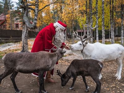 Autumn Magic in Santa Claus Village – A Fun and Unforgettable Experience with Reindeer