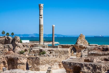 From Tunis: Private Tour Bardo Museum- The ruins of Carthage- Village of Sidi Bou Said