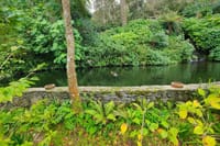 Sintra: Biester Palace Guided Tour and Pastry Tasting 7