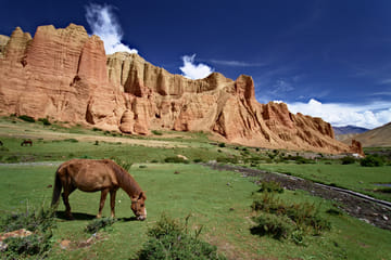 13 Days- Easy Road Trip to Upper Mustang on Jeep