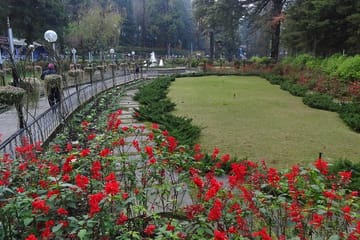 Private 3-Day Tour from Dehradun to Mussoorie Hill Station