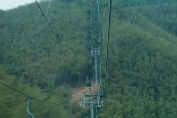 Yixing Bamboo Sea and Zisha Pottery Day Trip from Shanghai
