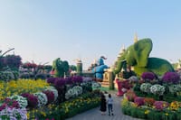 Miracle Garden Global Village with Transportation from Fujairah 7