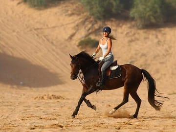 Horse ride marrakech