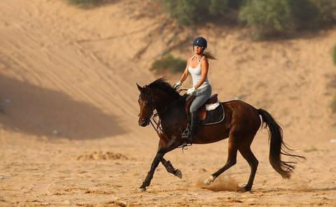Horseback Riding Adventure in Marrakesh Countryside